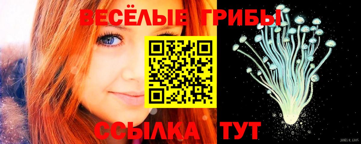 Псилоцибиновые грибы Psilocybine cubensis Выкса