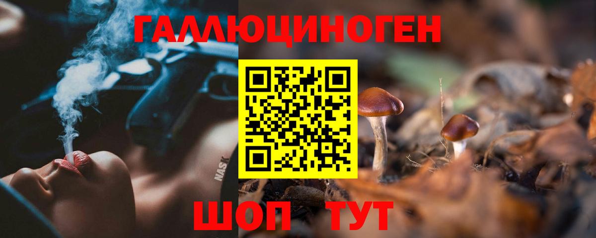 Выкса  Галлюциногенные грибы Psilocybe  Галлюциногенные грибы Psilocybine cubensis  Вход с VPN 